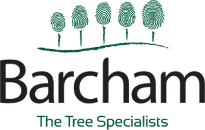 Barcham Trees